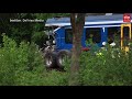 Botsing tussen trein en trekker in Hooghalen