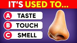 Can You Pass This General Knowledge Quiz? 👦🧠 60 Questions Everyone Should Know! 🤔