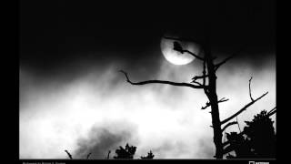 Dreamer [Ecu Mix] / Coldcut