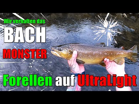 BACHMONSTER verhaftet | Ultralight am Bach | Forellen eskalieren