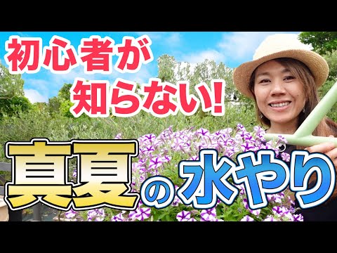 植物に活力を与えるために緊急に知っておくべき、庭でのエプソムソルトの6つの使い方!  庭園