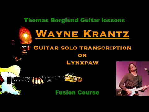 Wayne Krantz on Lynxpaw - Guitar solo transcription