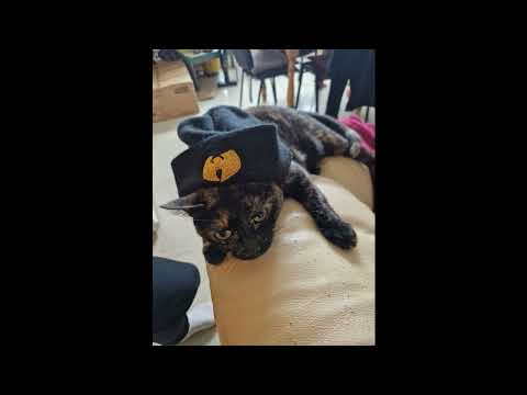 The Holocaust - Gage-One The Conqueror - Double Creature Feature Ft. Crisis Tha Sharpshooter, Juncla