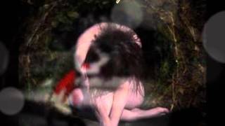 HIM - Disarm me (lyrics)