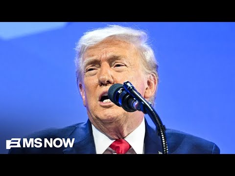 Trump saying NATO hasn't given U.S. anything is 'so profoundly ignorant': Columnist