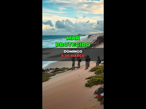 GOVERNO CRIA PARQUE NACIONAL MARINHO DO ALBARDÃO E APA NO RS PARA PROTEGER BIODIVERSIDADE...