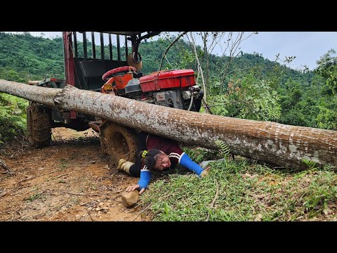 Agricultural vehicles transport timber, continuing their journey to harvest large timber