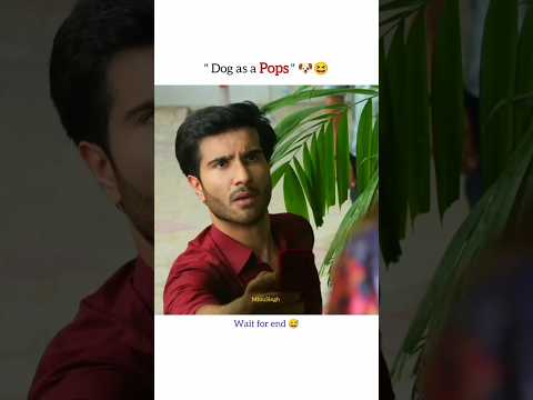 Dog as a pops🐕😅 #aliansari #ferozekhan #pakistanidrama #ytshorts #funny #viral #shorts #dog #laugh