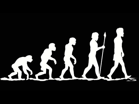 Click to Watch the Archaeologists find ancient tools that could rewrite story of human evolution -- again video