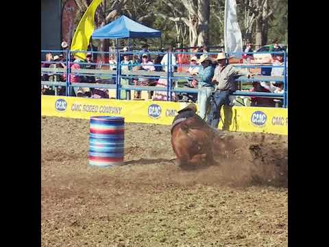 Bull Riding Highlights