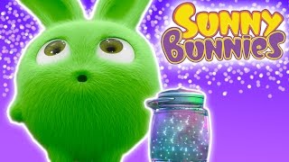 Cartoons ★ Sunny Bunnies - FIREFLIES - 1 Hour Sp
