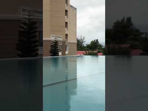 Beautiful Cox’s bazar and beautiful royal tulip 🌷