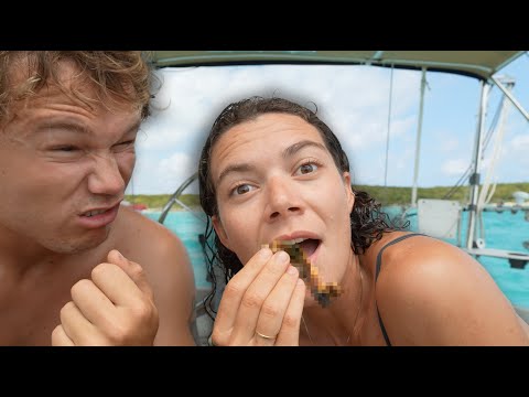 HUNGRY SAILORS On The Hunt