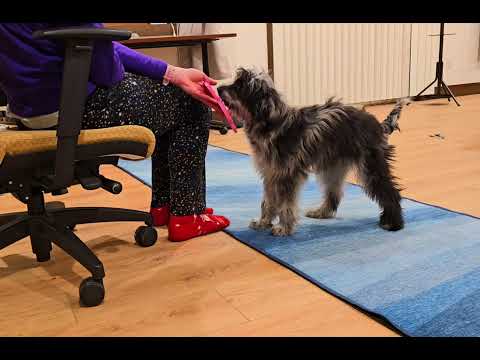 02/13/26 - Yumi Lick Mat