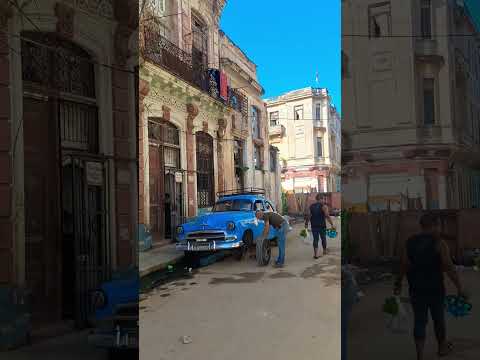 Recorrido por la calle Animas/La Habana
