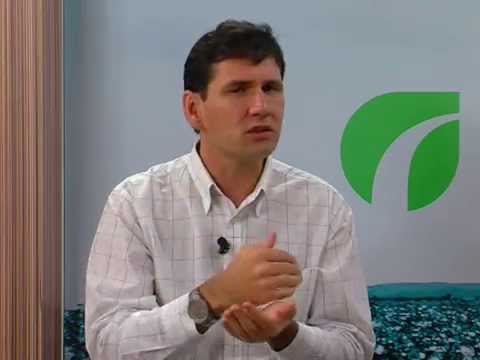 31/07/2014 - Normativa 62, IATF em Nelore - Ourofino em Campo