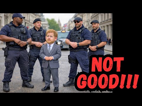 Prince Harry Gets BAD NEWS in RAVEC Security Decision