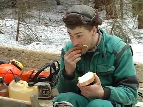 Paľo Žiak, furman z Vrchslatiny