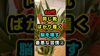 60代、同じ靴ばかり履く 脳を壊す「最悪な習慣②」 #脳の掃除術 #靴 #老化防止 #60代 #穏やかな暮らし #脳のゴミ