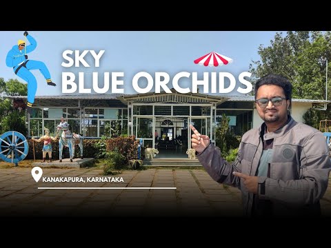 Rain Dance, Reunions & Resort Fun! Sky Blue Orchids (Part 2)