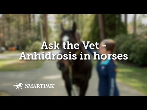 Slide 5 - One AC Supplement 200g  (video)