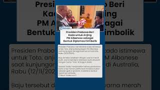 Momen Hangat Presiden Prabowo Beri Kado untuk Anjing PM Albanese sebagai Bentuk Diplomasi Simbolik