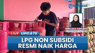 Harga LPG Nonsubsidi 5,5 Kg dan 12 Kg Melonjak Lebih dari 18 Persen, Bervariasi di Setiap Daerah