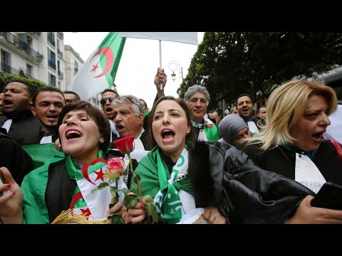 الجزائر جمعة جديدة للمطالبة برحيل كل النظام وسط استدعاء مسؤولين كبار أمام القضاء