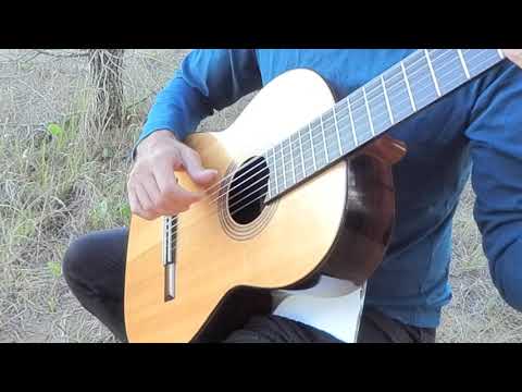 VIOLENTANGO (Astor Piazzolla) Arranged by Sebastian Pompilio