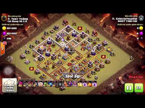 Com bo Hog 7 Clean Hall 11 max 3*