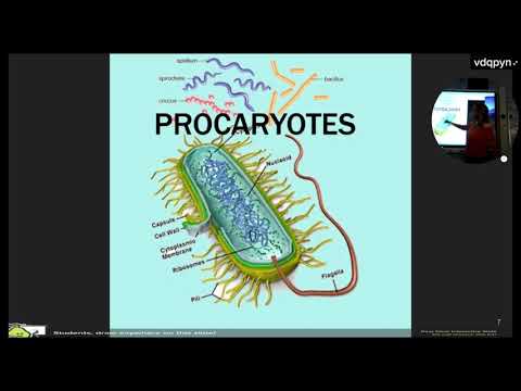 AP Bio Unit 02 Review: Cell Structure & Function