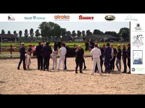 Fokdag Noord-Zuid Holland | 6 Augustus 2022