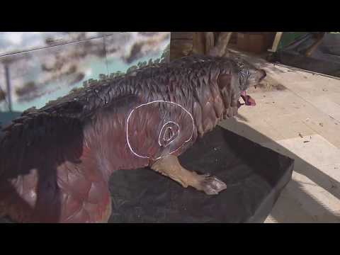 Lundmark - Vera Bringas | Or Barebow Hommes - World 3D 2017