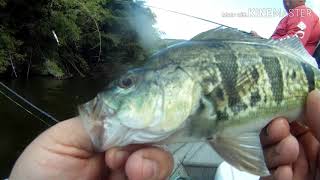preview picture of video '1st fishing tournament lake caonillas utuado'