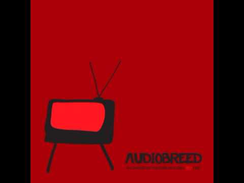 Audiobreed - I Don't Care ( + lyrics )
