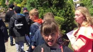 Isle of Wight - Day two