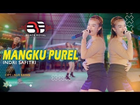 INDRI SAFITRI - MANGKU PUREL  (Official Live Video BLACK ROYAL ENTERTAINMENT)