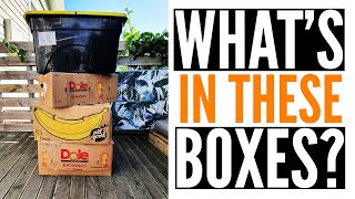 COMMODORE COMPUTER HUGE MAGAZINE HAUL UNBOXING (2020)