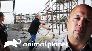 Thumbnail del capítulo