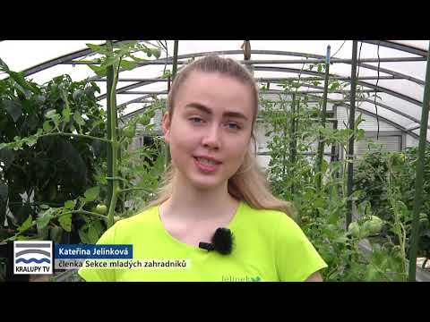 , title : 'Kralupy TV: Zahrádkář: ochrana rostlin před plísněmi (31.7. 2021)'