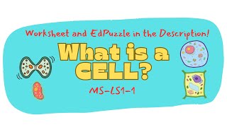 What is a CELL? Full Lesson with Subtitles. Linked Worksheet & Edupuzzle in description. MS-LS1-1