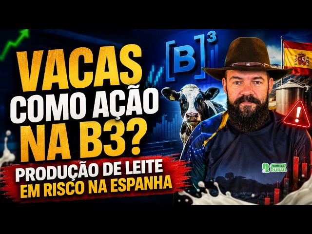 Vacas como ação na B3? Produção de leite em risco na Espanha.
