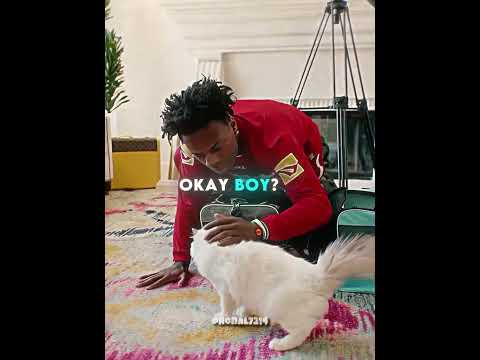 IShowSpeed's Dog Lost To A Kitten 💀