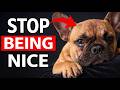 It S Brutal But It Ends Dog Tantrums Fast