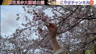 【実写VLOG】大阪城公園にお花見行ってきた！実は内側より外堀がさくらの木が多くておすすめ⁈ベンチがいっぱいでシート要らず⁈