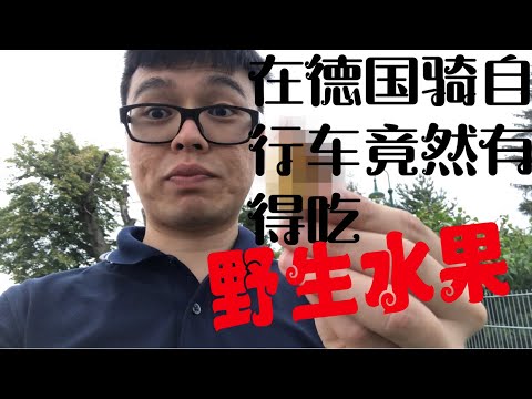[malaysian in germany | MYinGER] (Vlog 01) WILD FRUITS IN GERMANY  德国暑假自行车游   沿路竟然有水果吃 ?!