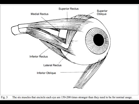 myopia legjobb gyakorlat