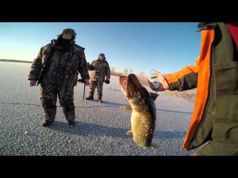 7,82kg haug Keeri järvest