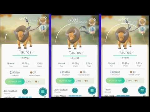 Gotcha! Tauros - 3 different CP