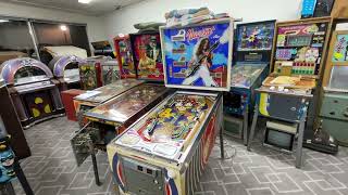 Stern TED NUGENT Pinball Machine - Most Lamps Don't Work